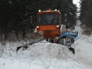 groomer